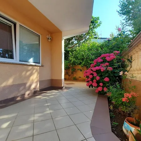 Canaria 1 By Interhome * بولا